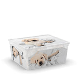 C Box Style Puppy & Kitten XXS to XL