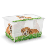 C Box Style Puppy & Kitten XXS to XL