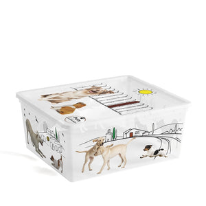 C Box Style Puppy Box + Lid M