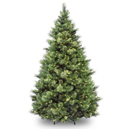 National Tree Company 7 ft. Carolina Pine Artificial Christmas Tree with Clear Lights
