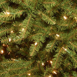 National Tree Company 9 ft. Dunhill Fir Artificial Christmas Tree with Dual Color LED Lights