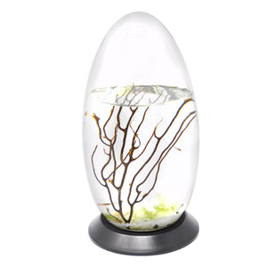 EcoSphere Closed Aquatic Ecosystem with Revolving Base