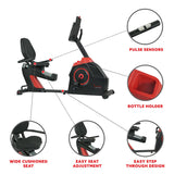 Evo-Fit Cardio Recumbent Bike