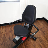 Evo-Fit Cardio Recumbent Bike