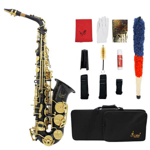 ammoon LADE Eb E-Flat Alto Saxophone Brass Engraved Sax Abalone Shell Buttons with Case Gloves Cleaning Cloth Grease Belt Brush