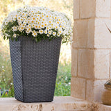 Medium Rattan Planter Grey