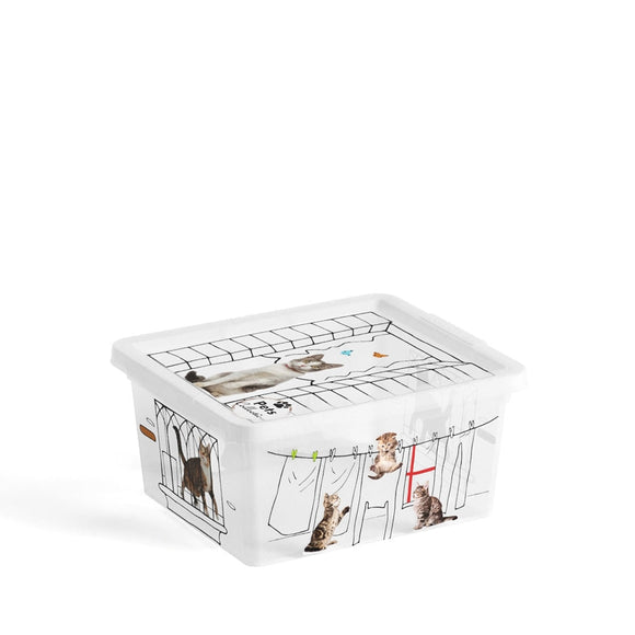 C Box Style Kitten Box + Lid XXS